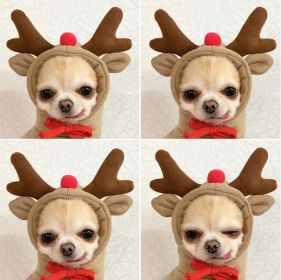 Christmas Dog Winter Warm Clothing Cute Plush Coat Hoodies Pet Costume Jacket For Puppy Cat French Bulldog Chihuahua Small Dog Clothing (Color: coffee, size: XXL)